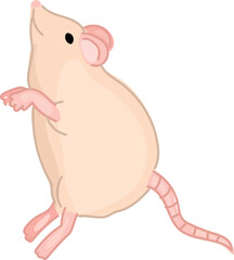 Cartoon Illustration of a Cute Mouse.