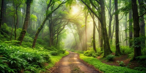 Fototapeta premium Serene forest path winding through lush greenery and mist, Forest, path, greenery, mist, serene, peaceful, tranquil, nature