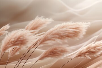 Fototapeta premium growing pampas grass background with color of the year 2025
