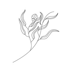 transparent backgorund png botanical doodle icon long leaf line illustration little branch