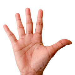 Woman giving high five isolated on transparent background, closeup of hand. Palm of Hand. 