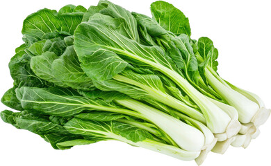 Fresh green bok choy on a white background