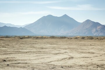 Fototapeta premium A colorful succulent garden with a diverse array of drought-resistant plants, showcasing the beauty and resilience of desert flora. Beautiful simple AI generated image