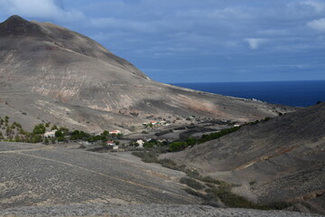 Madeira and Porto Santo Island, beach trees and yellow sand