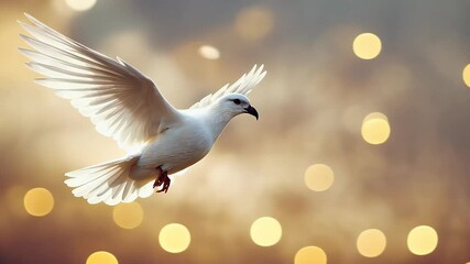 wedding flying beautiful freedom white fly peace dove love air sky - Powered by Adobe