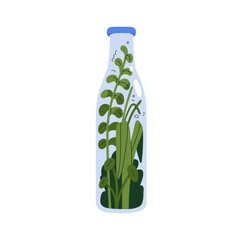 Glass bottle, green plants inside. Eco-friendly natural organic decor. Environment conservation, ecology and zero-waste concept. Botanical flat vector illustration isolated on white background