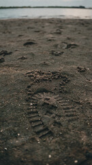 footsteps on the beach