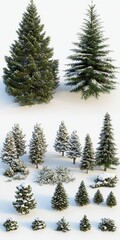Obraz premium A collection of snowy evergreen trees in various sizes, creating a serene winter landscape.