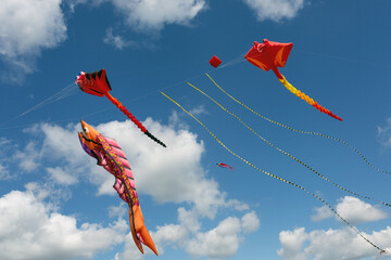 kites against a background of blue sky with clouds