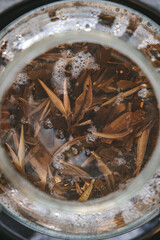 A flavorful Herbal Tea Infusion crafted with aromatic leaves and delightful bubbles present