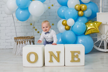 Adorable One-Year-Old Boy Celebrating First Birthday in Blue Decor