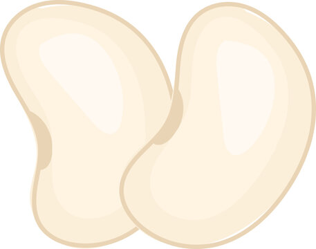 Lima Beans Vector Illustration.