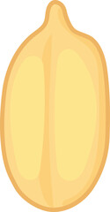 Shelled Sunflower Seed Illustration.