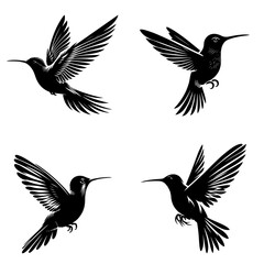 Clean vector silhouette of hummingbird isolated on white background. 