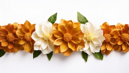 Garland flower border plant nature petal on isolate white background