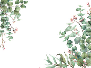 Eucalyptus plant with Gypsophila flower twig. Watercolor floral rectangular banner. Green tree branches with round leaves and pink beige buds. Herbal hand drawn illustration isolated from background  © Bartol_art