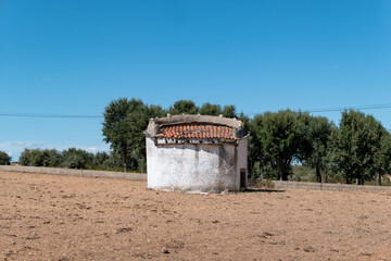  Pombal em meio a um um campo árido, com paredes tradicionais arredondadas e com algumas árvores...