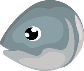 Salmon Head Vector Illustration.