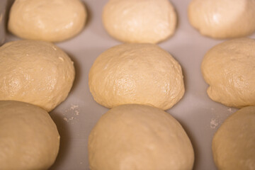 round buns made of white flour dough, baking preparation