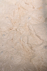 White flour dough, baking preparation, dough texture