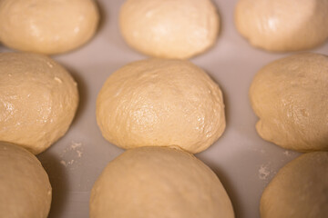 round buns made of white flour dough, baking preparation
