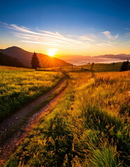 Obraz premium meadow with a small road at sunrise