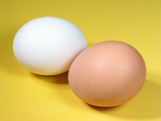 Chicken eggs close view background