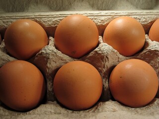 Eggs in a tray on a kitchen background
