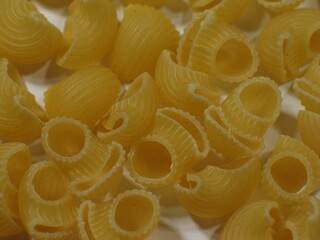 Close-up view of pasta background, food photography