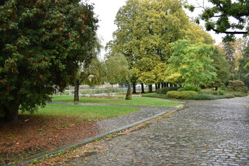 park in the town