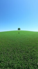 Lone Figure Walks Through Vast Grassy Field Under Clear Blue Sky