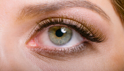 Obraz premium Close-Up Detail of a Human Eye with Natural Colors and Texture