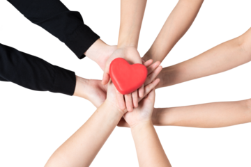 Png Hands united heart mockup community of love