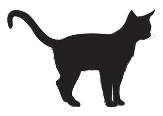 Png black cat silhouette, transparent background