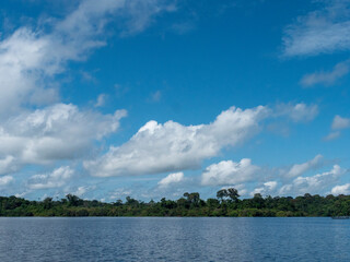 Amazon river landscape with rainforest.