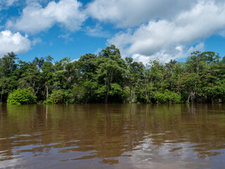 Amazon river landscape with rainforest.