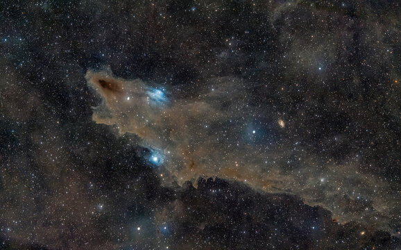 Dark nebula LDN1235 also known as the shark nebula in the Cepheus constellation.