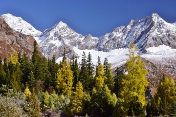 四川省　四姑娘山・双橋溝ハイキング
