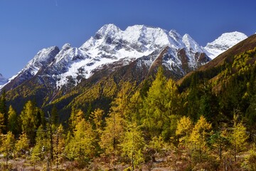 四川省　四姑娘山・双橋溝ハイキング