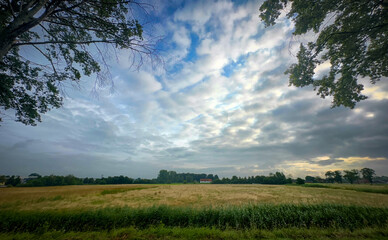 Obraz premium A serene, tranquil, and cloudy sky hovering over verdant, lush green fields evokes a profound connection with nature