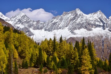 四川省　四姑娘山・双橋溝ハイキング