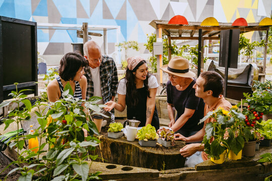 Urban gardening class with a diverse group of people gathered around a raised garden bed.