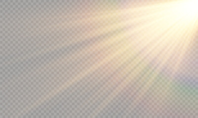 Vector transparent sunlight with lens flare effect. Overlays, overlay, light, Sun, sunrays, overlays, light transitions, lens flare, light leaks and glare in PNG format. Sunlight flare light effect.	
