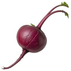A close-up of a large, reddish-purple beet with a long, curved stem