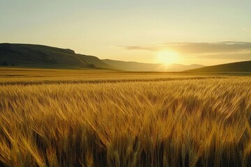 Obraz premium Golden wheat field under a vibrant sunset in rural landscape. Generative AI
