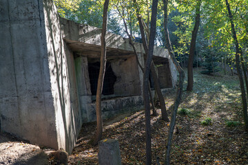 Łuczyce - bunkry linii Mołotowa  © wedrownik52