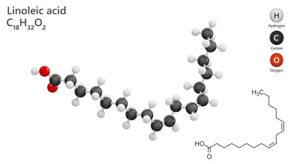 Molecules Linoleic Acid. Polyunsaturated fatty acid. Molecular structure. Formula: C18H32O2. Chemical model: Ball and stick. White background. 3D illustration.