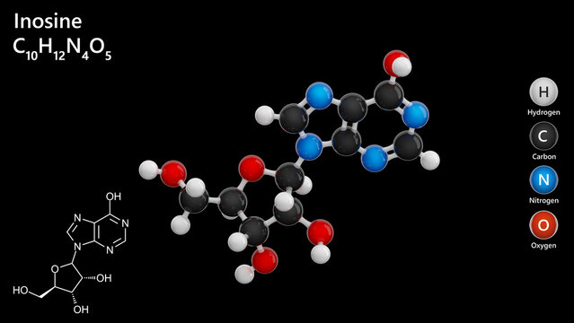 Molecule: Inosine. Nucleoside. Molecular structure. Formula: C10H12N4O5. Chemical model: Ball and stick. Black background. 3D illustration.