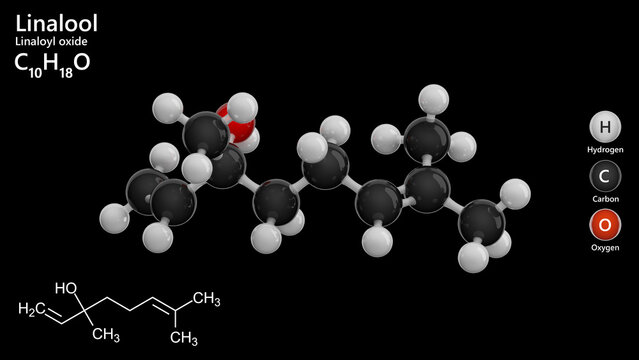 Molecule: Linalool. Terpene alcohol. Molecular structure. Formula: C10H18O. Chemical model: Ball and stick. Black background. 3D illustration.