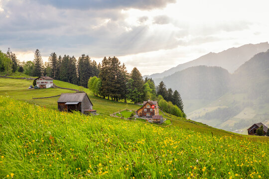 Scenic view of a Swiss house with a flag in the countryside of Arvenb�hl, Amden with Mattstock summit.
